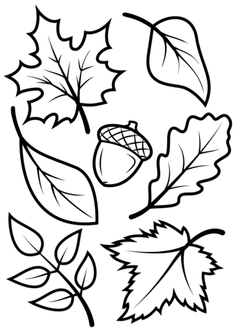 Fall Leaves And Acorn Coloring Page